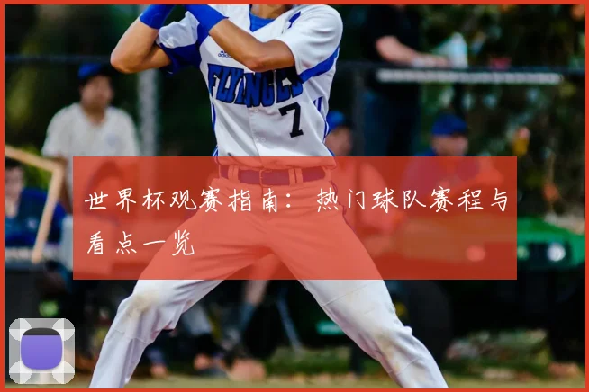 世界杯观赛指南:热门球队赛程与看点一览