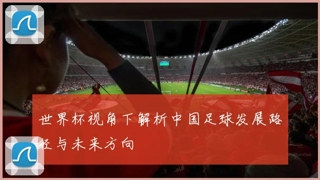 世界杯视角下解析中国足球发展路径与未来方向