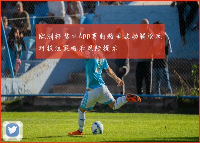 欧洲杯盘口App赛前赔率波动解读及对投注策略和风险提示