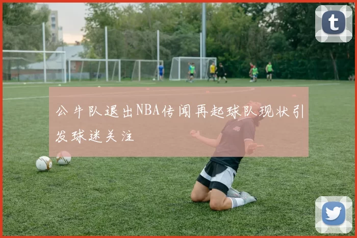 公牛队退出NBA传闻再起球队现状引发球迷关注